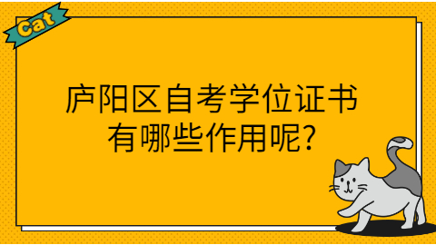 庐阳区自考学位证书的作用