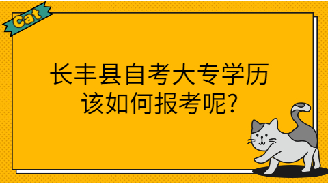 长丰县自考大专报考条件