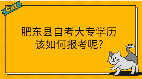 肥东县自考大专报考条件